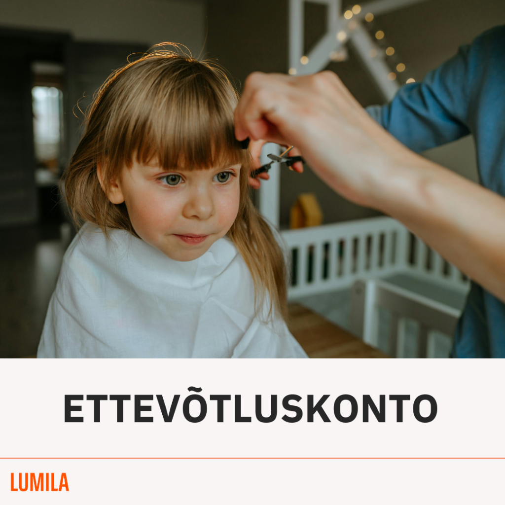 Ettevõtluskonto